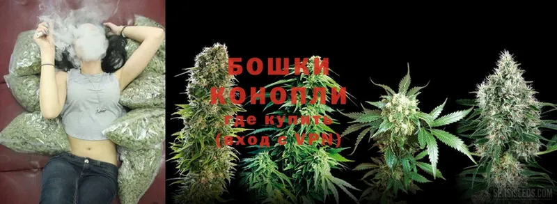 купить  сайты  блэк спрут как войти  Канабис LSD WEED  Белореченск 